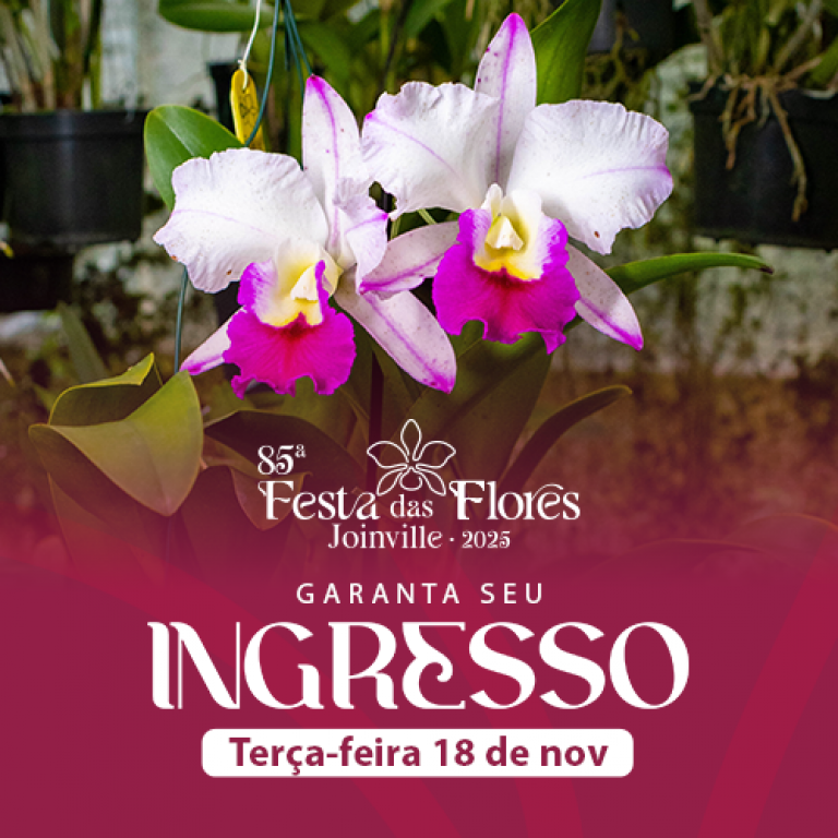 85 Festa das Flores - 18/11 - Tera-Feira
