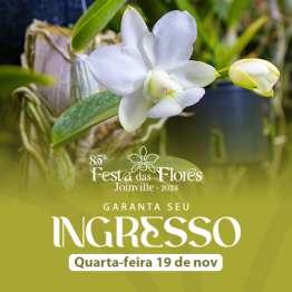 85 Festa das Flores - 19/11 - Quarta-Feira