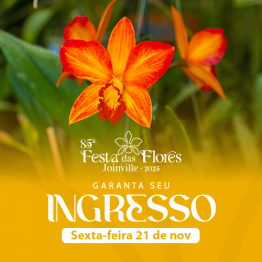 85 Festa das Flores - 21/11 - Sexta-Feira