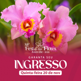 85 Festa das Flores - 20/11 - Quinta-Feira