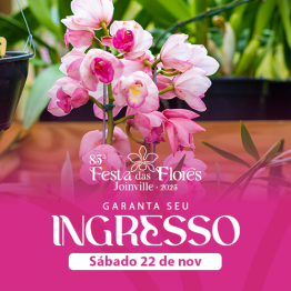 85 Festa das Flores - 22/11 - Sbado