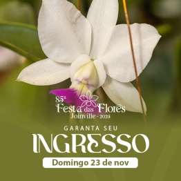 85 Festa das Flores - 23/11 - Domingo