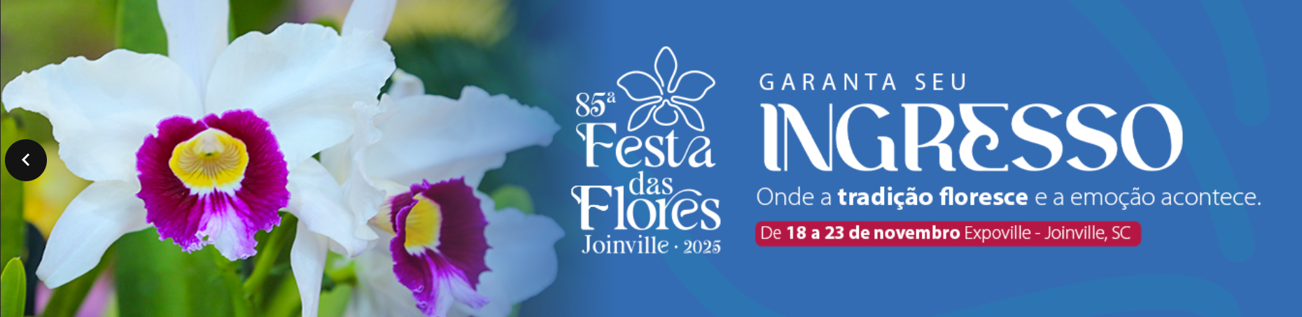 Festa das flores desc