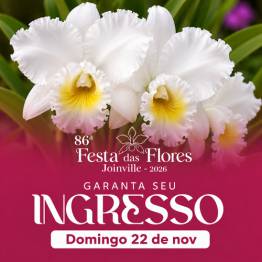 86� Festa da Flores - 22/11 - Domingo