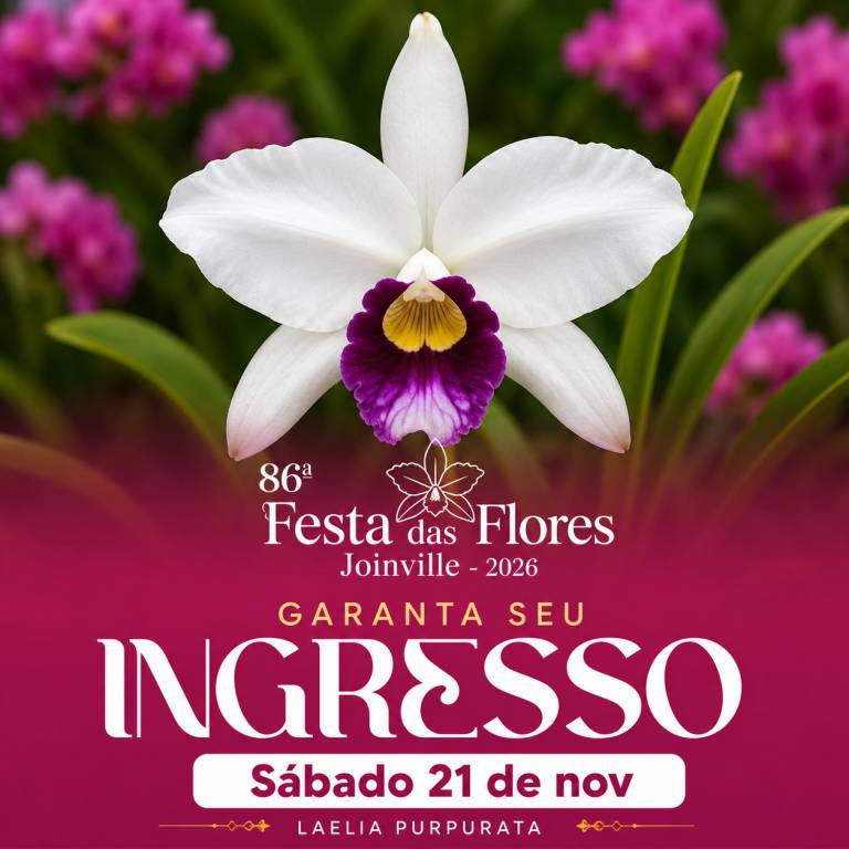 86� Festa da Flores - 21/11 - S�bado