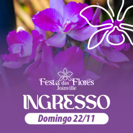 86� Festa da Flores - 22/11 - Domingo